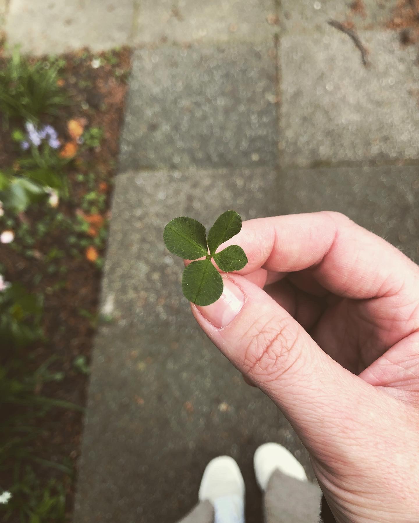 53291C7F-C2B8-48C5-8645-88D39F24DEDF